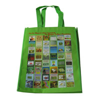 湘潭LB11覆膜无纺布广告袋